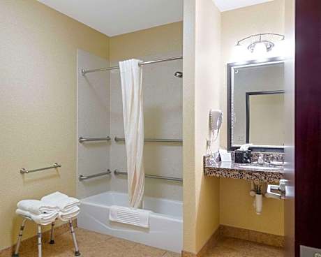 1 Queen Bed Nonsmoking Accessible