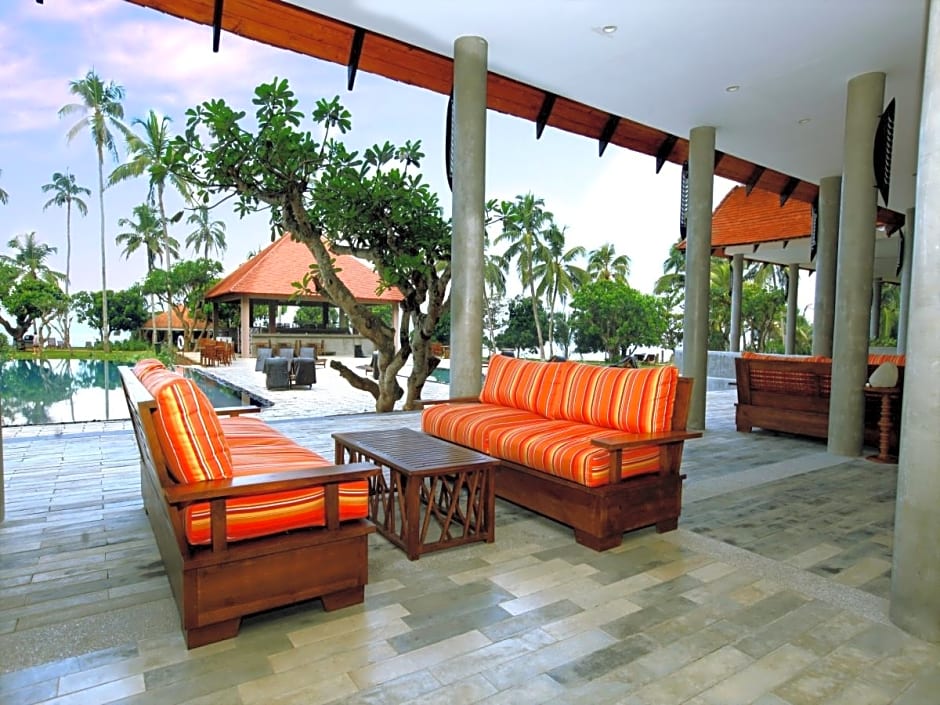 Hikka Tranz By Cinnamon