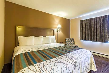 Rodeway Inn Red Wing