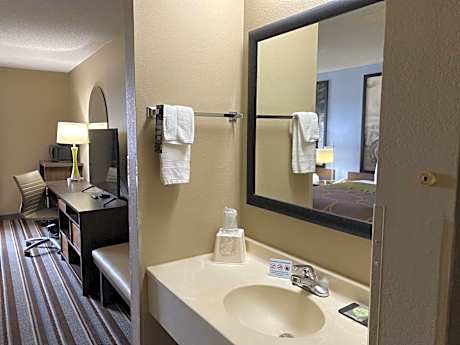 Deluxe King Studio Suite - Non-Smoking