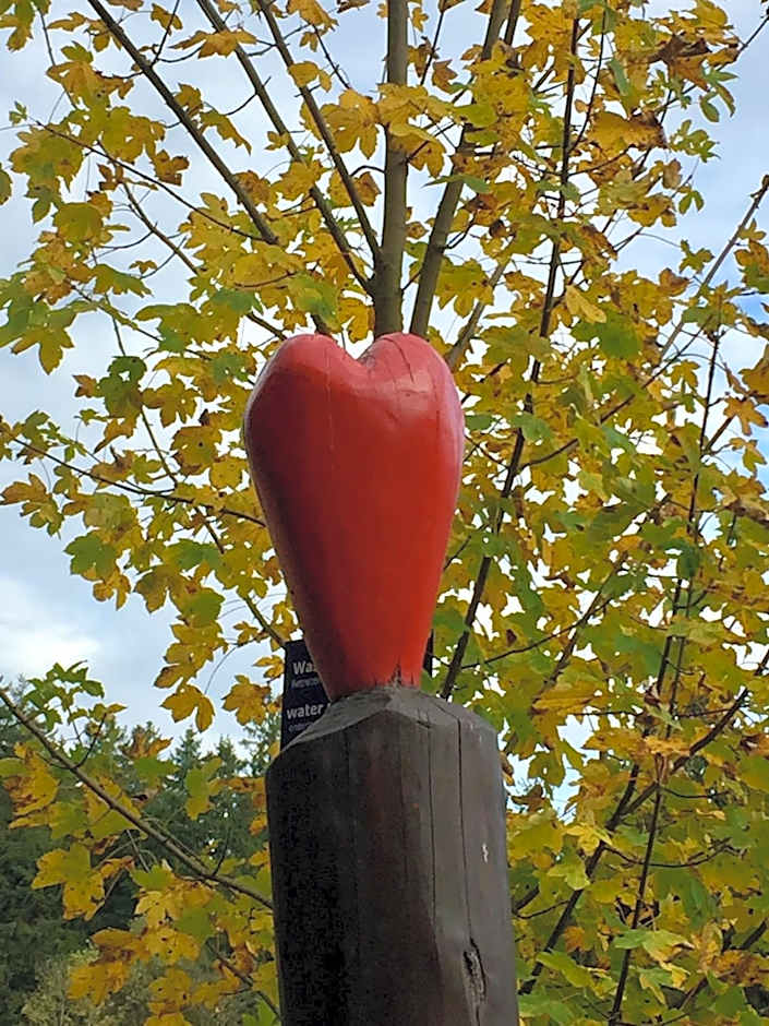 Seeblickapp. „Eure Auszeit“