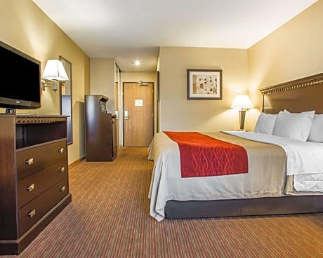 1 King Bed, Nonsmoking, Accessible