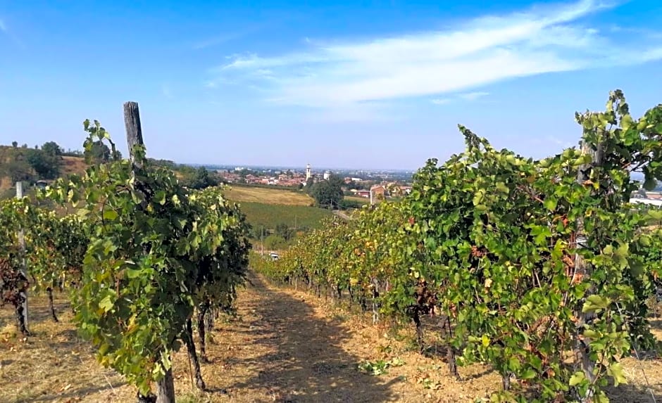 la Mafalda in Oltrepo