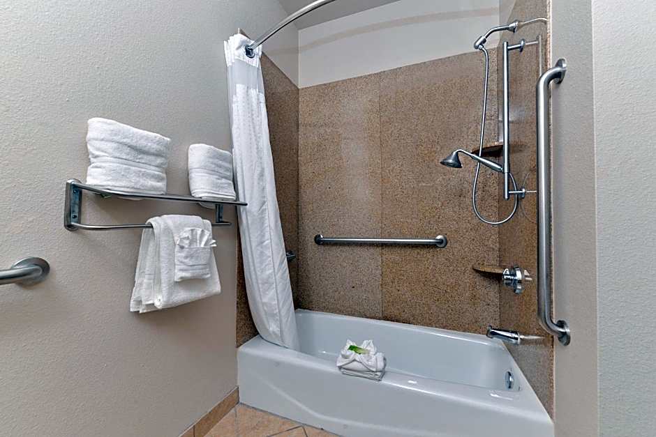 Holiday Inn Express Hotel & Suites Sherman Highway 75 By IHG