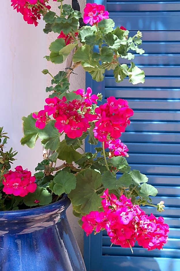 Hotel De La Fontaine