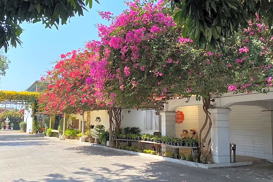 Delio Boutique Hotel