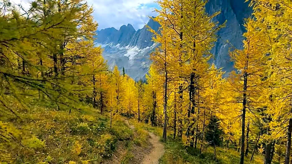 Mountain View Vacation Villa Main Floor Unit, No Stairs