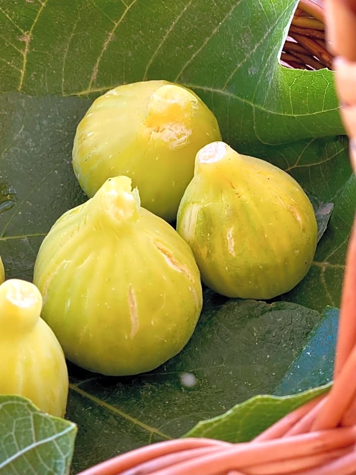 Nelinda Waterfront Accommodation