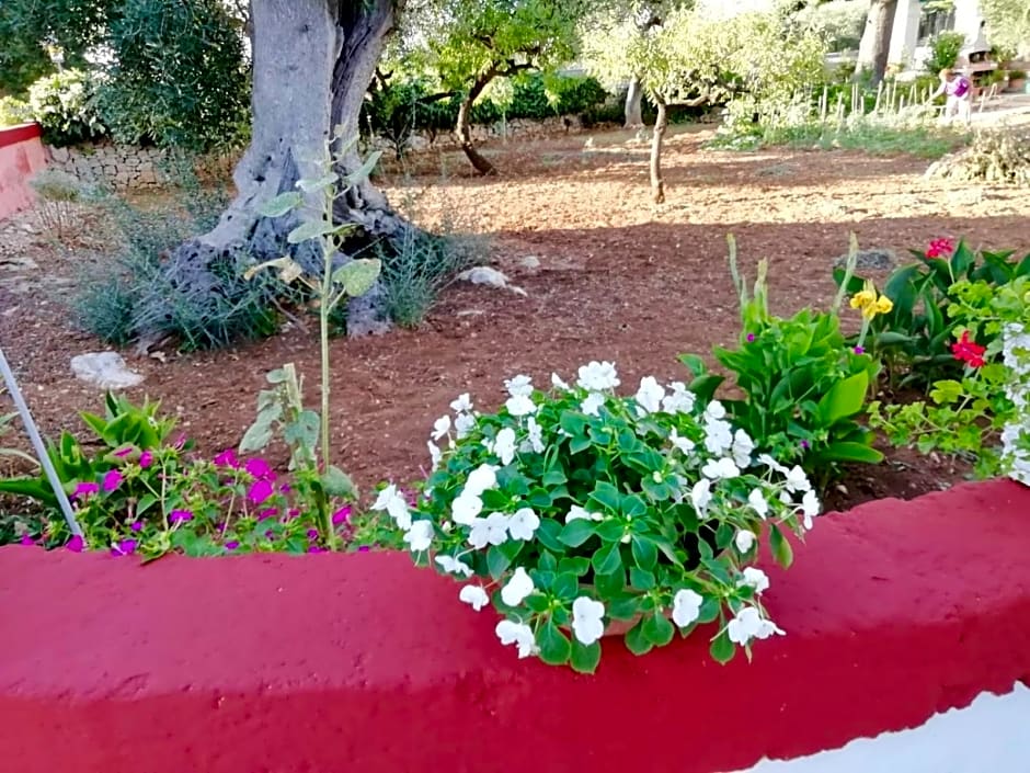 Dimora Sofia – Monopoli, LA