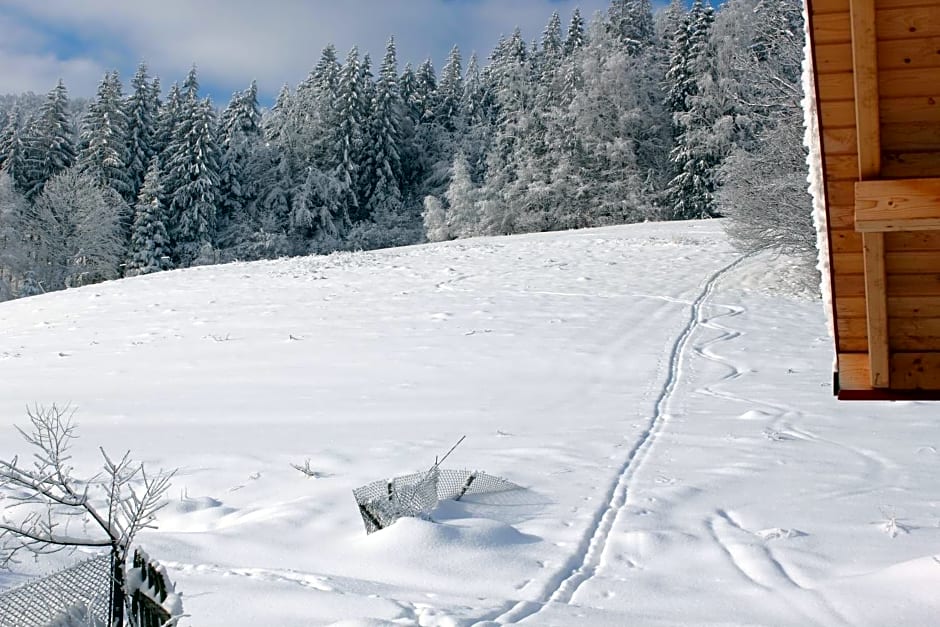 Hillton Jawornik – Wisla, IN