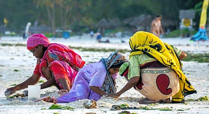 Stonetown View Hotel