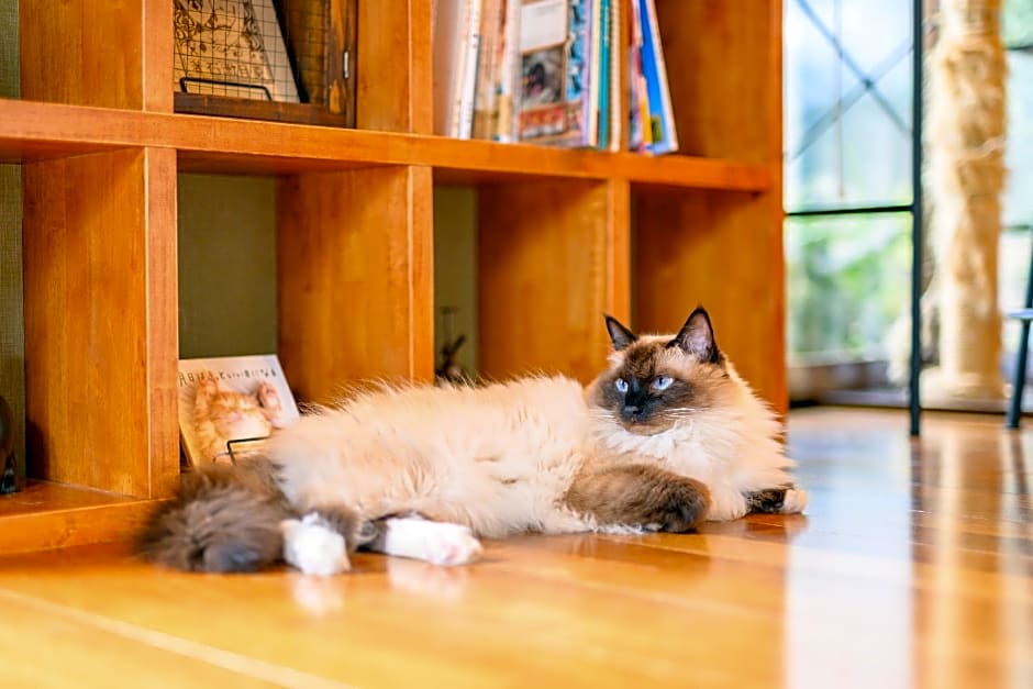 Yufuin Waraneko no Yado