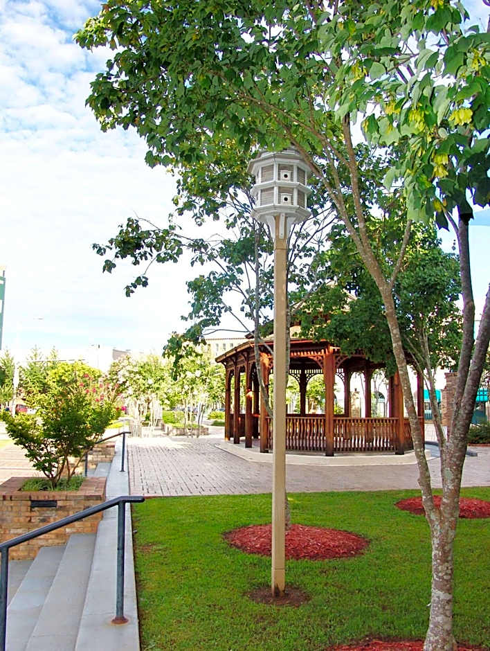 Hilton Garden Inn Meridian