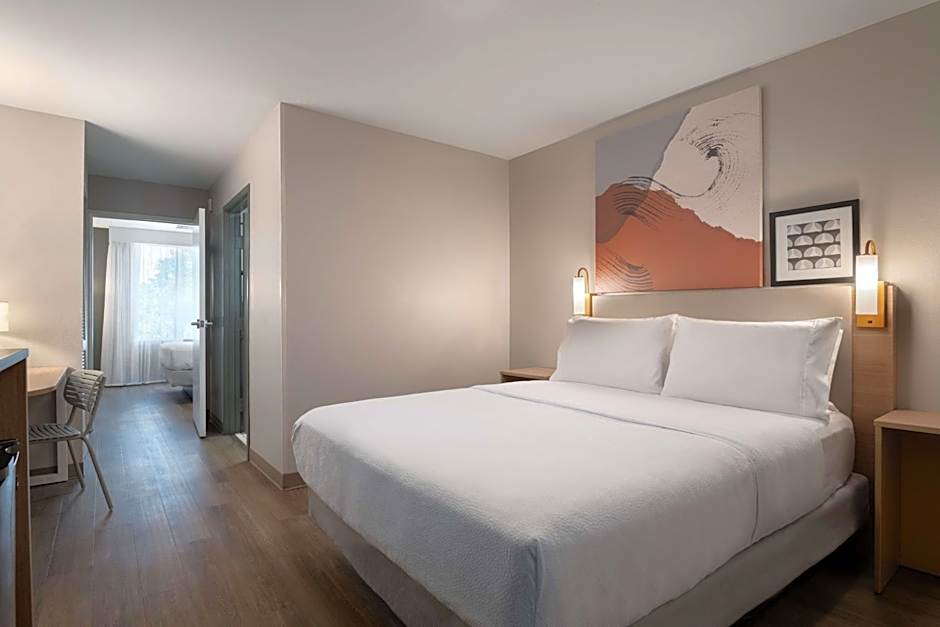 Spark by Hilton Destin