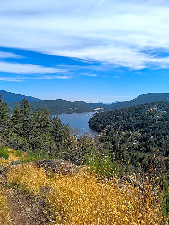 Maple Rise Guesthouse