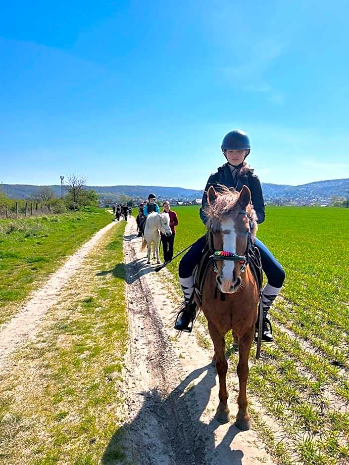 Spa & Pool Apartments Prestige VILLA IVICA