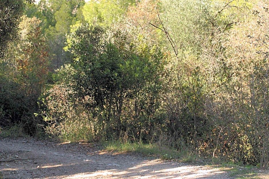 Vi l'Art Wine Lodge - Only Adults