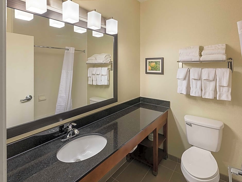 Comfort Suites Saginaw North
