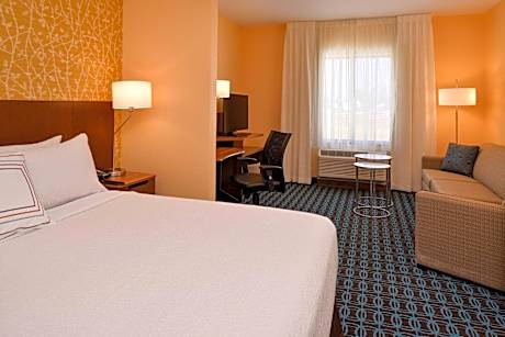 Suite, 1 King, Sofa bed