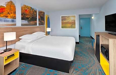 1 Queen Bed Pet-Friendly Non-Smoking