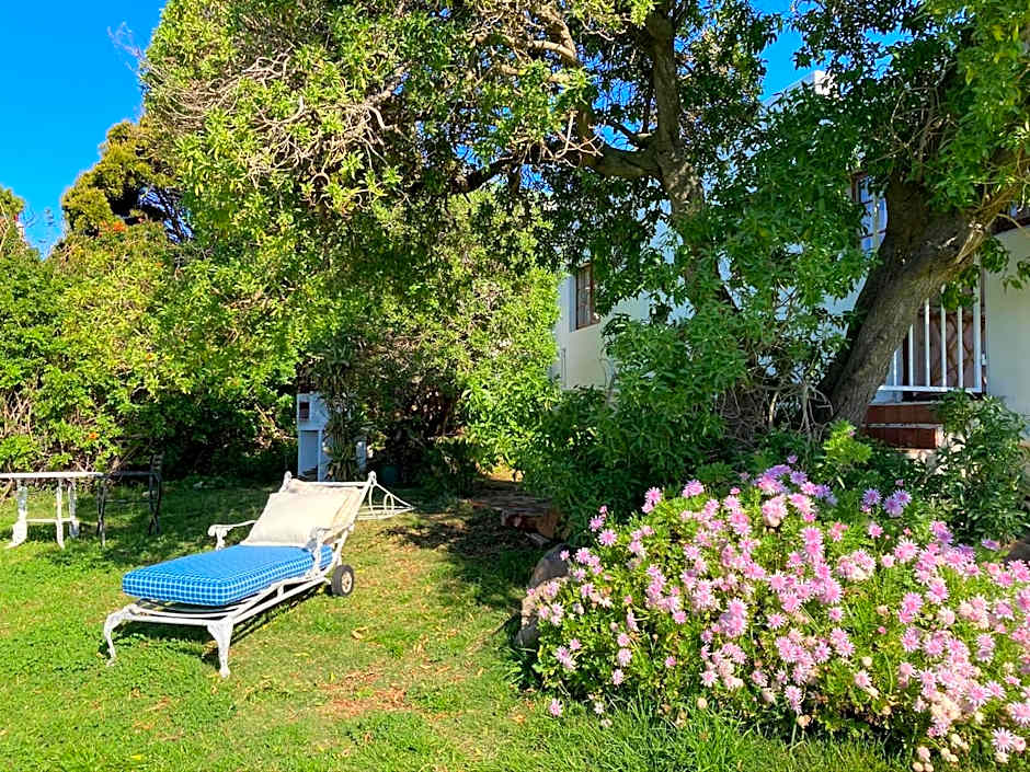 Bosky Dell on Boulders Beach