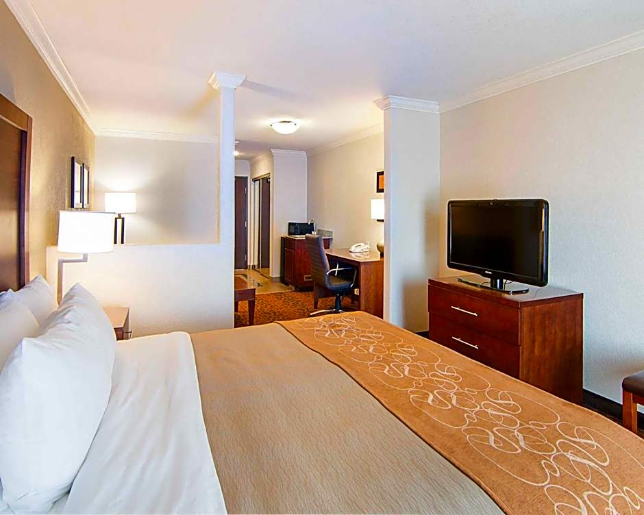 Comfort Inn & Suites I10 - Mason Road