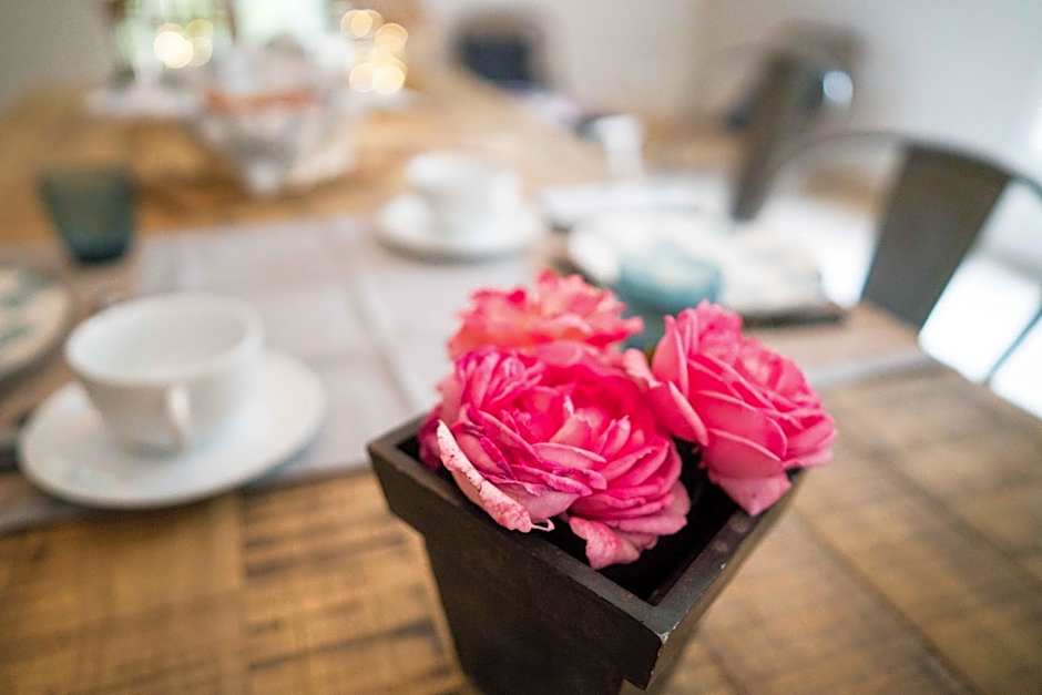 Domaine de Saint Clair