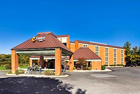 Comfort Inn Lexington Virginia Horse Center