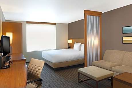 Larger Deluxe, Guest room, 1 King, Sofa bed, City view