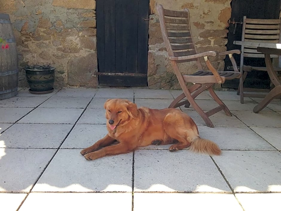 Paul's Barn in France