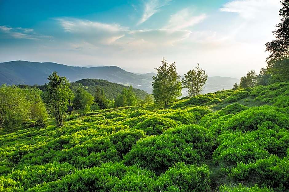 Hotel Olympic Spa & Wellness