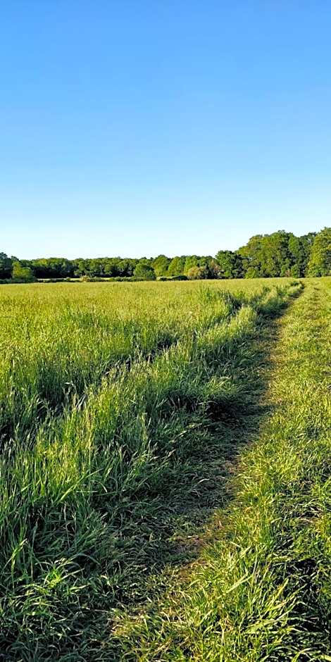 Pinfield Boutique Hotel