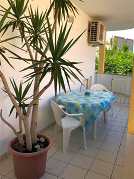 TEA Isola Dino - HOTEL & HOME - Praia a Mare