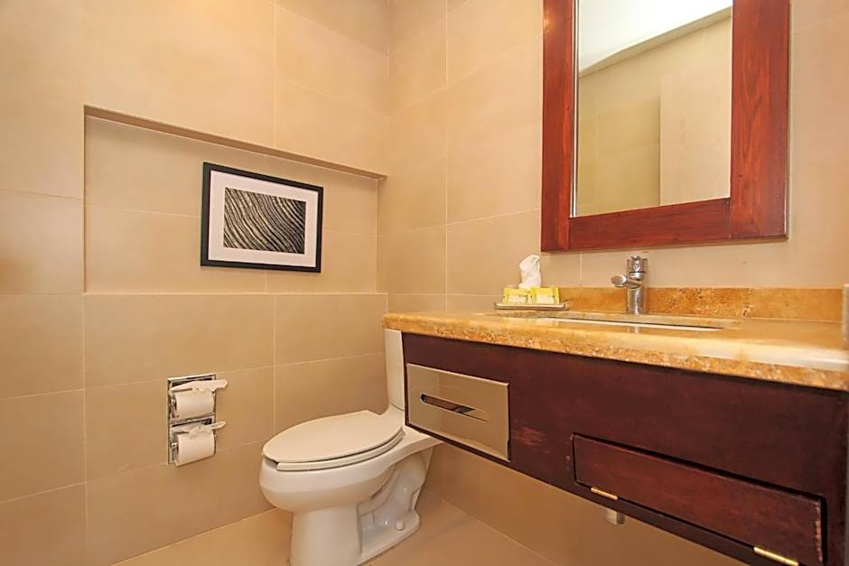 Holiday Inn Leon By IHG