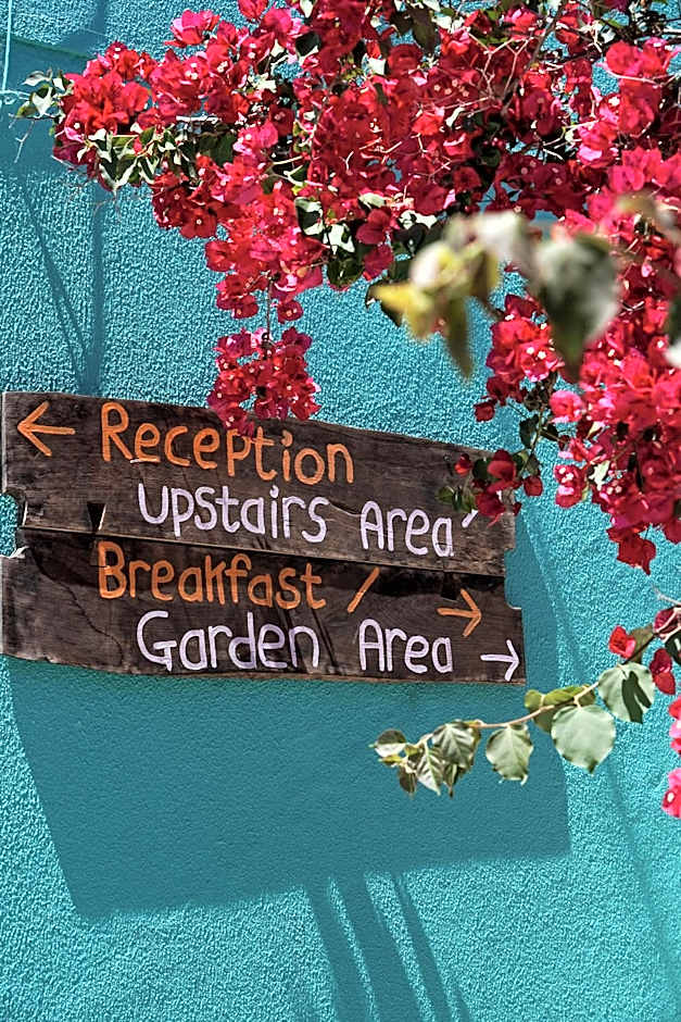 Natural Mystic Hostel