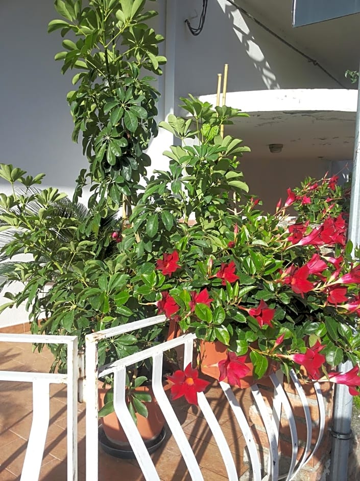 B&B Irma – San Filippo del Mela, WA