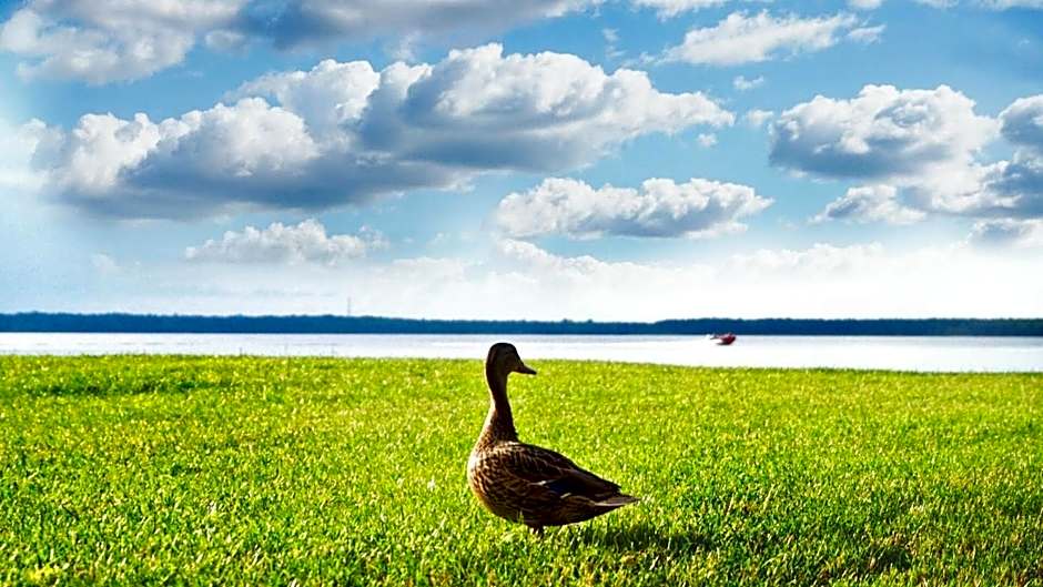 Žvejų užeiga