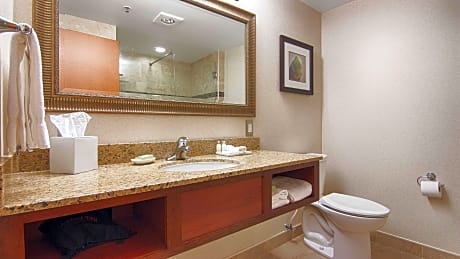 1 Queen Bed, Mobility Accessible, Communication Assistance, Bathtub, View, Non-Smoking, Full Breakfa