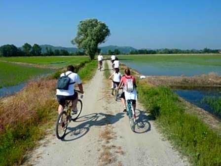 Hotel Ristorante Paladini