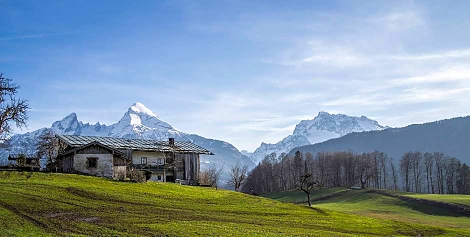 Hotel AlpinaRos Demming