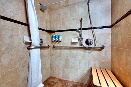 Superior Queen Room with Two Queen Beds -  Accessible, Roll-in Shower