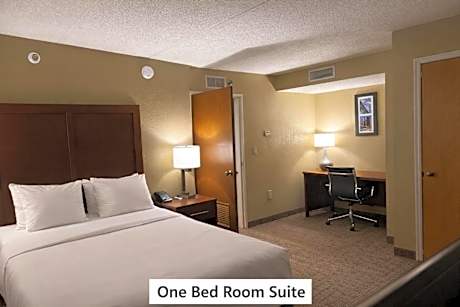 1 Queen Bed Nonsmoking Accessible