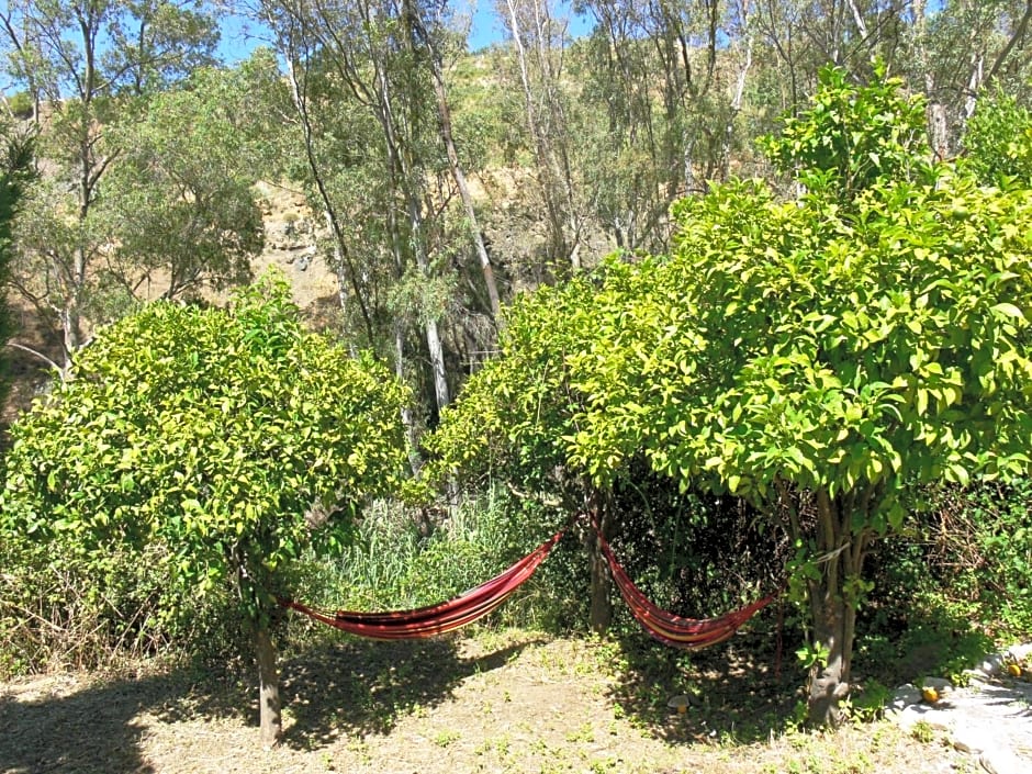 Vegan Guesthouse Finca Pereila