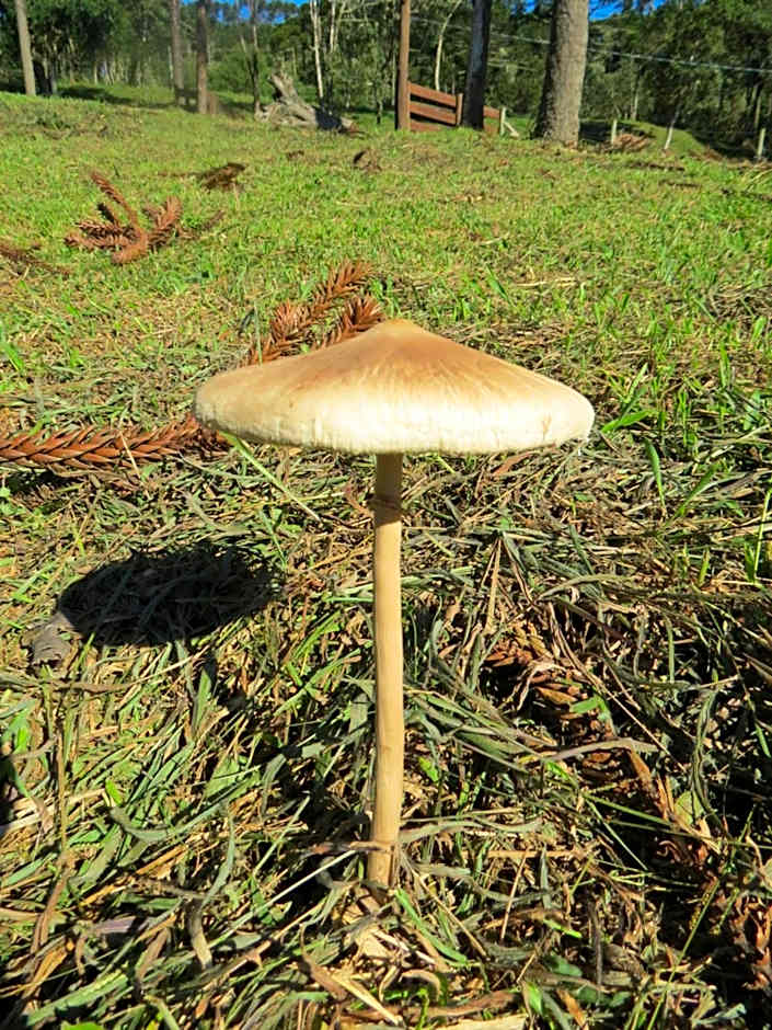 Refúgio da Montanha