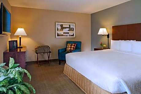 King Suite with Sofa Bed