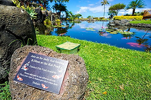 Aston At The Whaler On Kaanapali Beach