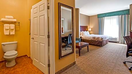 King Suite with Sofa Bed - Non-Smoking