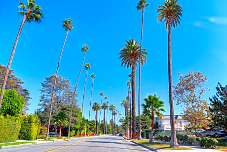 Vibe Hotel West Hollywood
