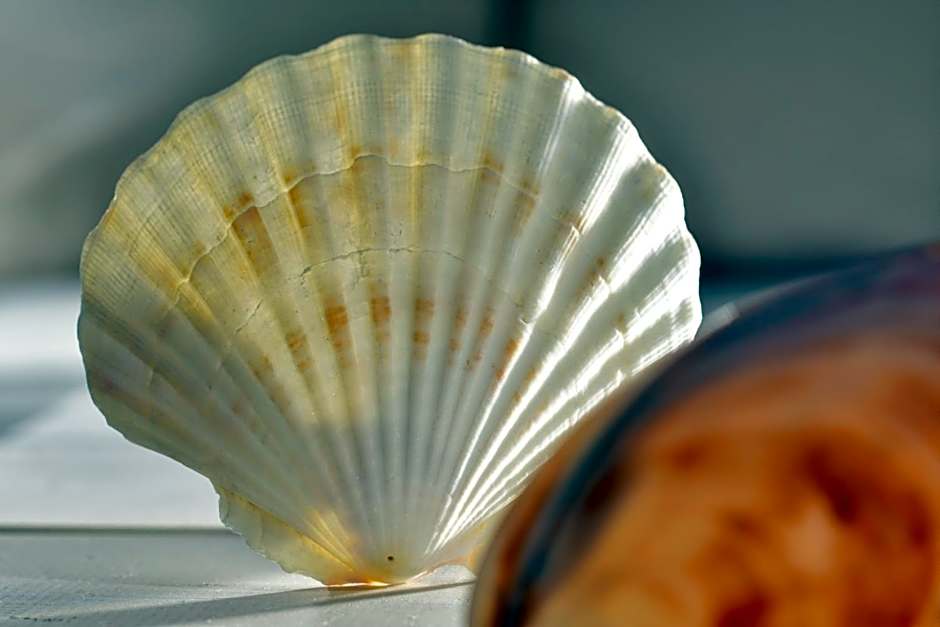 Bla Marine Domki nad Morzem