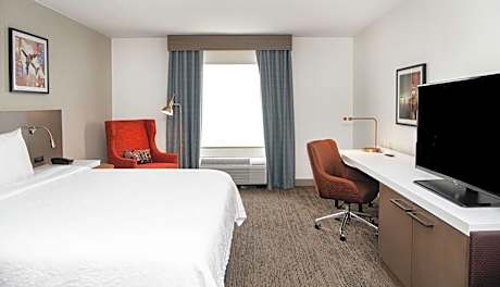 1 King Bed Corner Room 425 Sq Ft